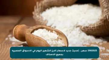 2982025 سعر.. تحديث جديد لأسعار الأرز الشعير اليوم في الأسواق المصرية بجميع الأصناف